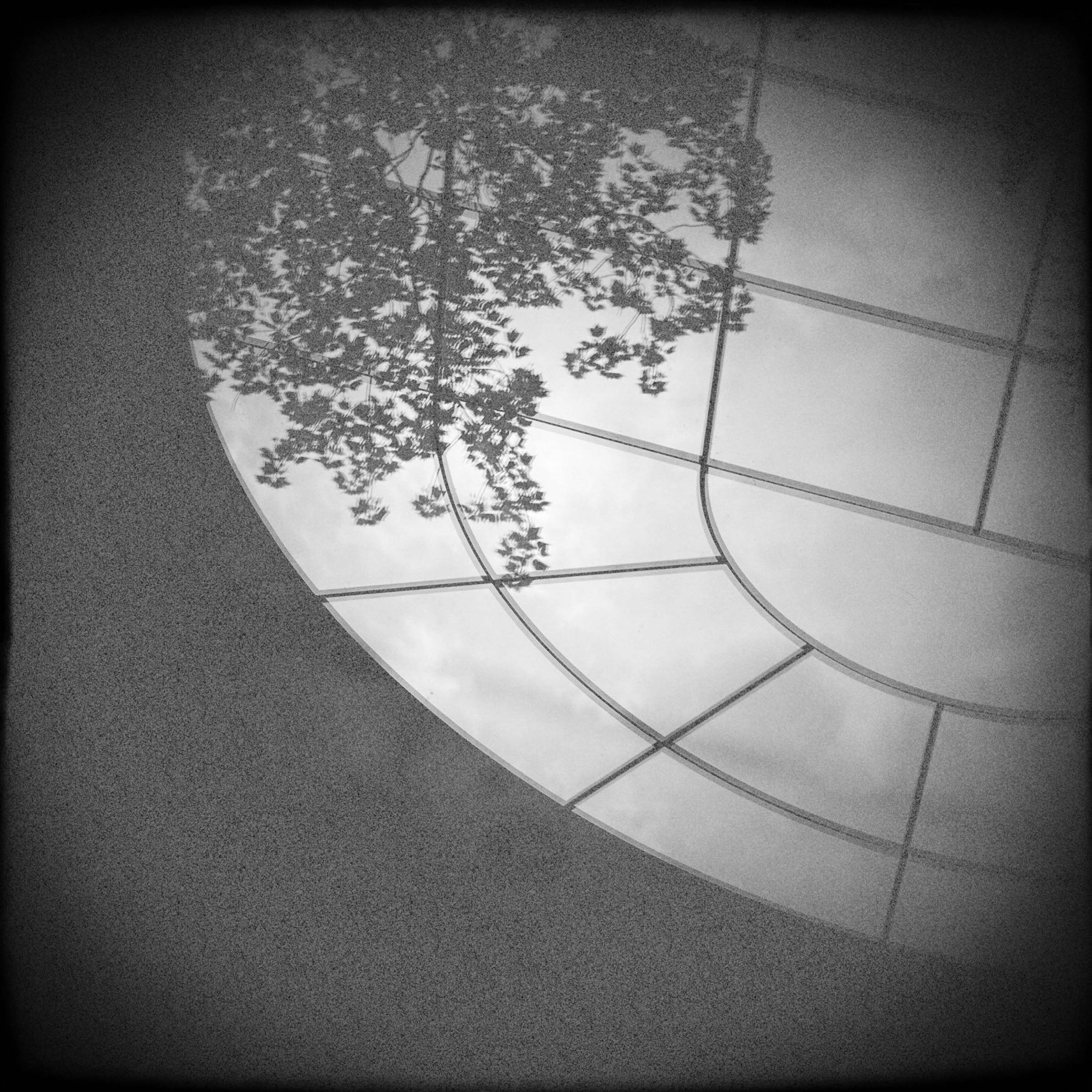 Cardboard Pinhole sample photo